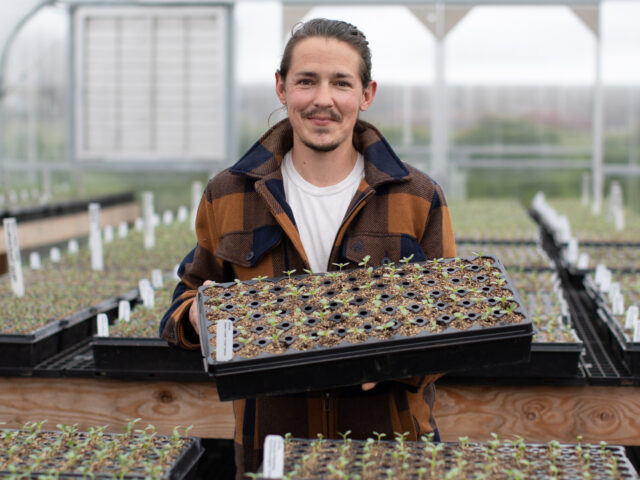 Sam Hoot holding a tray of seedlings at Floret