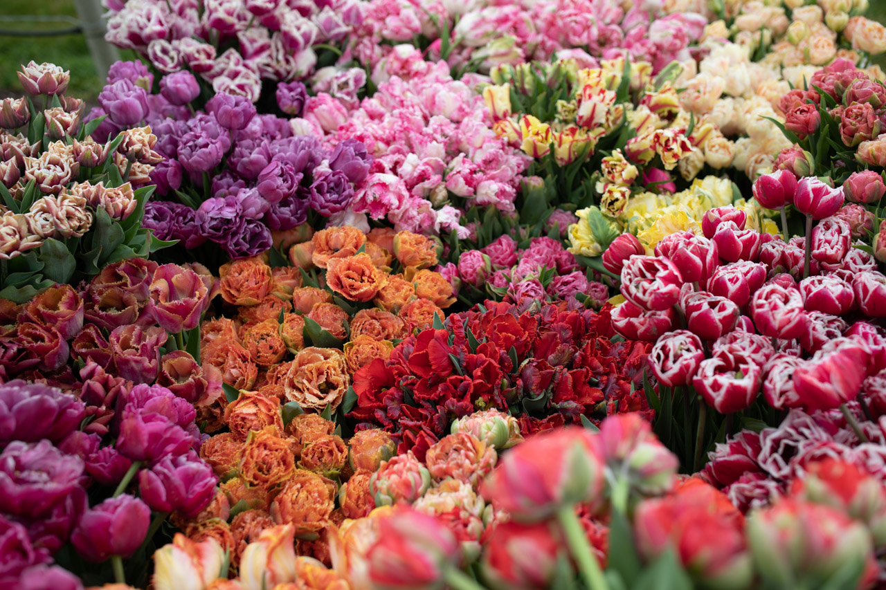 About the Floret Library Floret Flowers