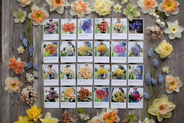 An overhead of Floret Library planning cards