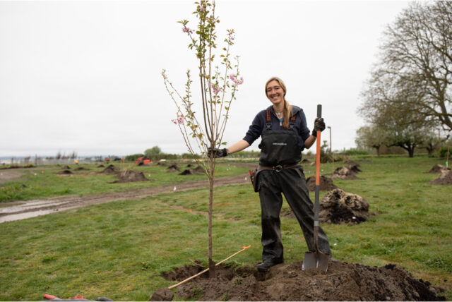 Erin Benzakein planting trees