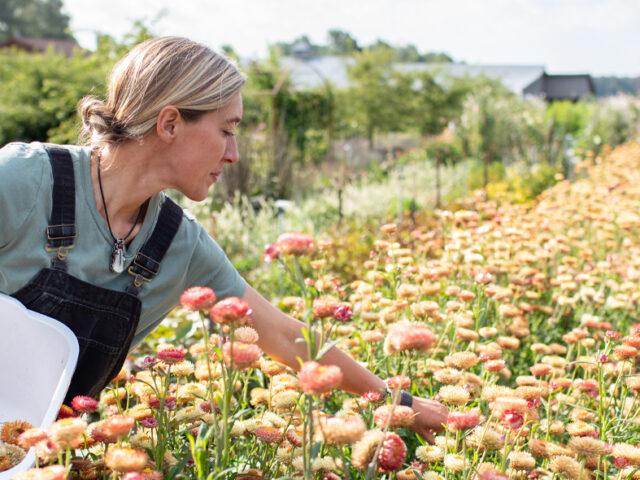 Find Flowers - Floret Flowers