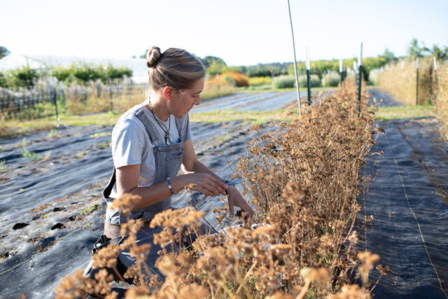 Workwear for Women - Floret Flowers