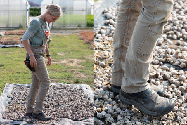 Countryside Retreat High Waisted Cargo Pants (Cream)  High waisted cargo  pants, Cargo pant, Jeans size chart