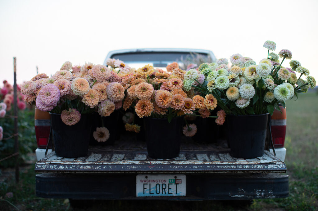 Floret Fusion
