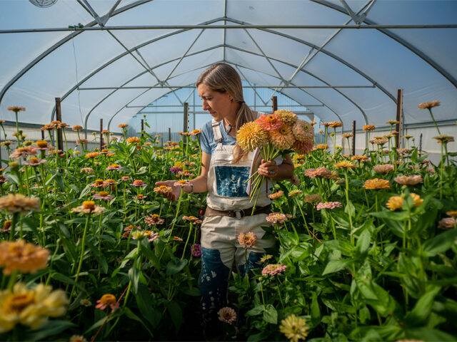 Erin Benzakein with a handful of zinnias