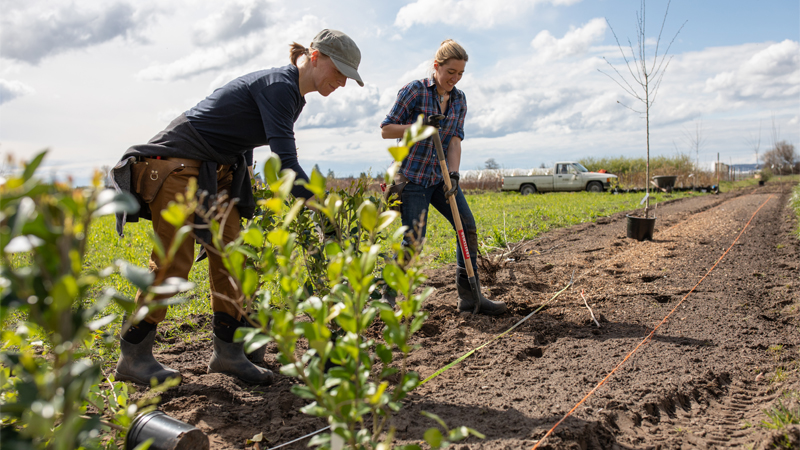 Erin Benzakein and Becky Crowley planting a hedgerow at Floret