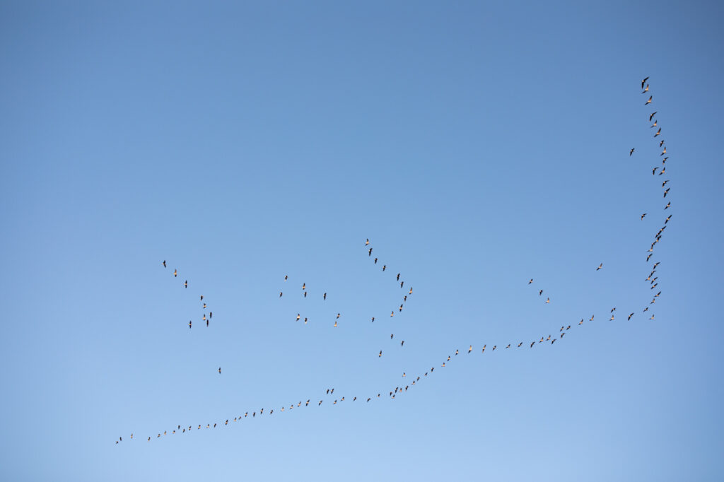 Meet the 2024 Floret Scholarship Winners Floret Flowers