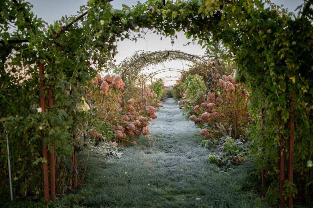 Meet the 2024 Floret Scholarship Winners Floret Flowers