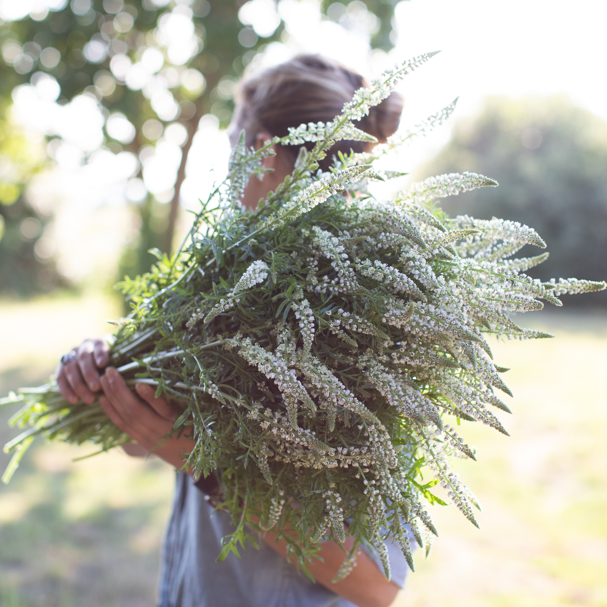 Mignonette_White_Mignonette-7607