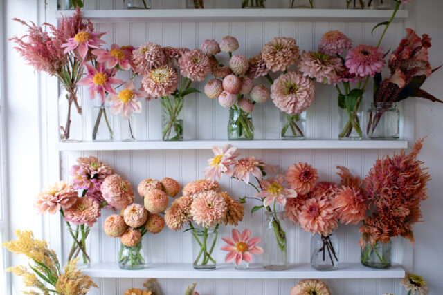Floret Originals blooms arranged in vessels on shelves