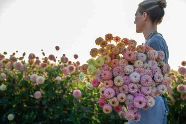 Floret - Tonal Floral Cream Yardage