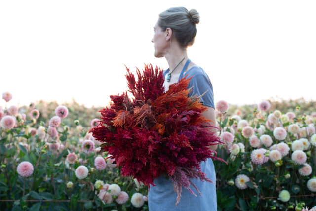 Meet the Floret Originals - Floret Flowers