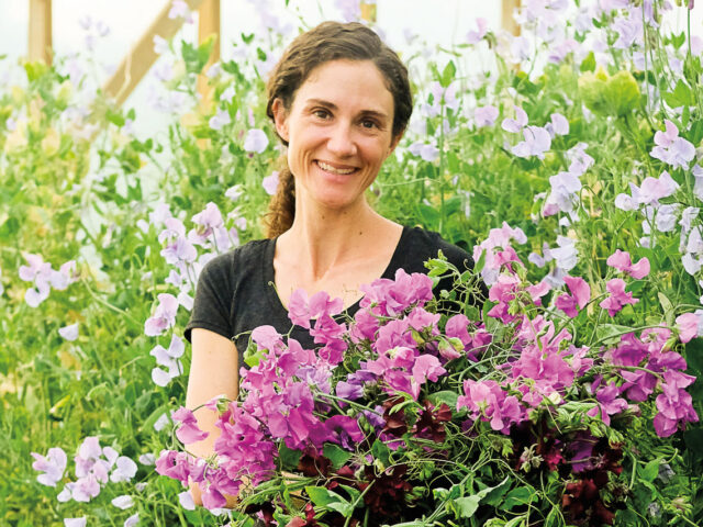 Gretchen holding an armload of sweet peas