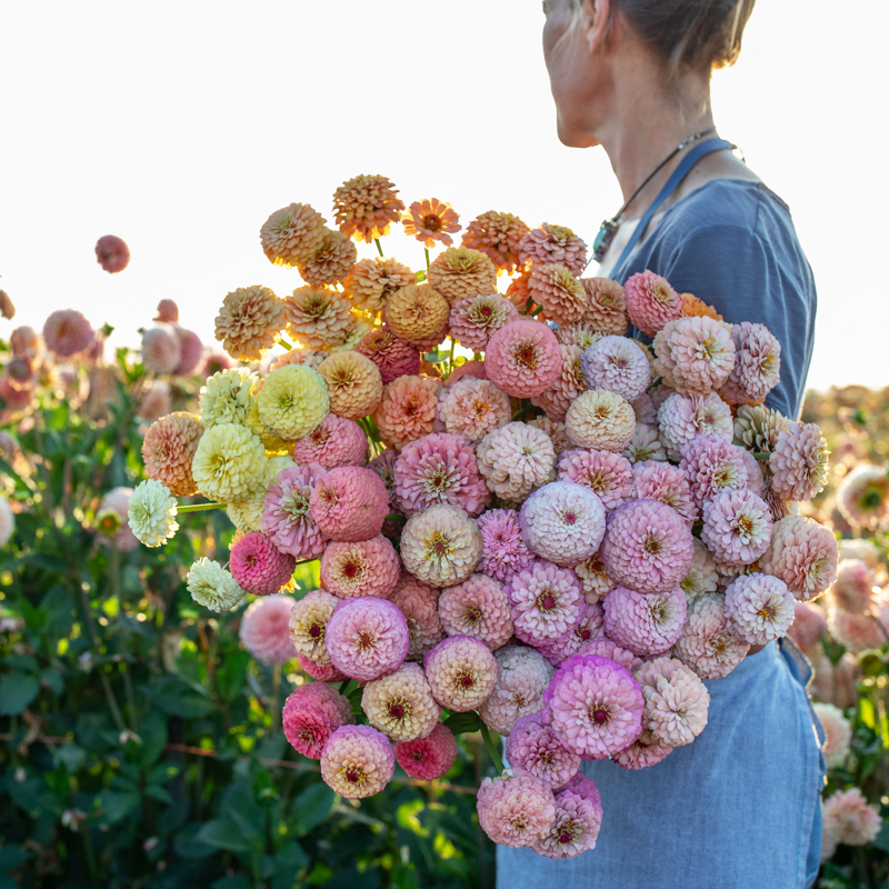 Floret-zinnia-victorian-wedding-15