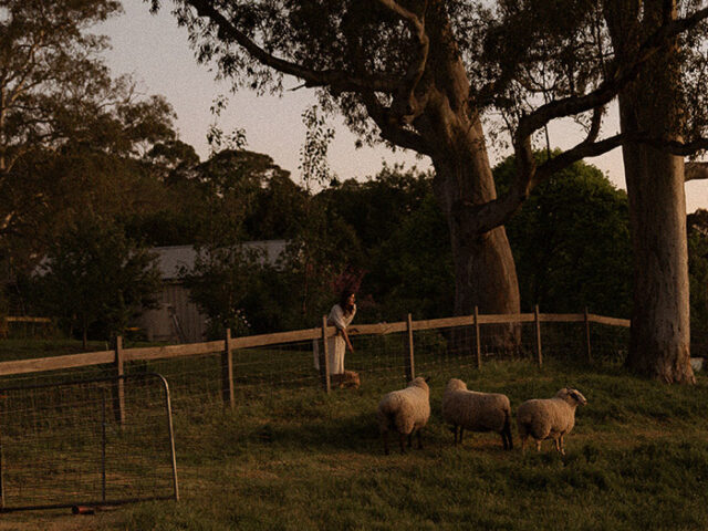 Morgan Allender watching sheep graze in the field at her farm, Shepherd's Rest