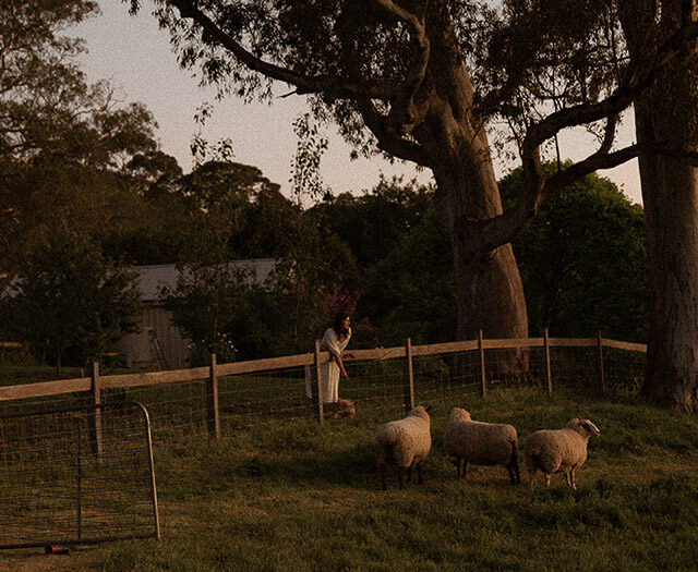 Morgan Allender watching sheep graze in the field at her farm, Shepherd's Rest