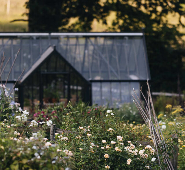 Milli Proust's garden with a greenhouse in the background.