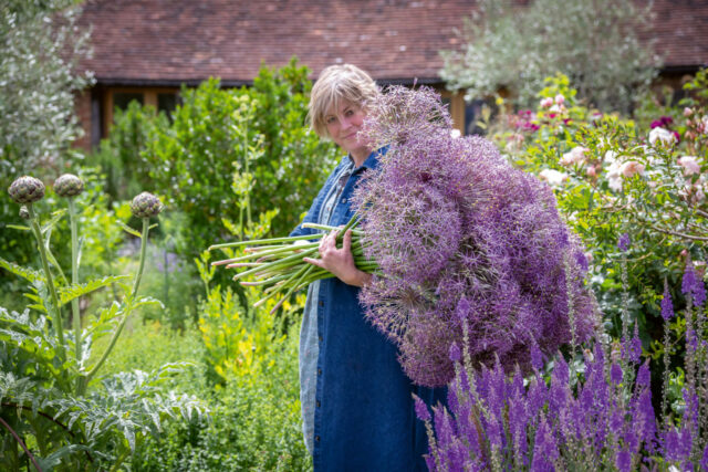 Sarah Raven carrying a bunch of Allium cristophii