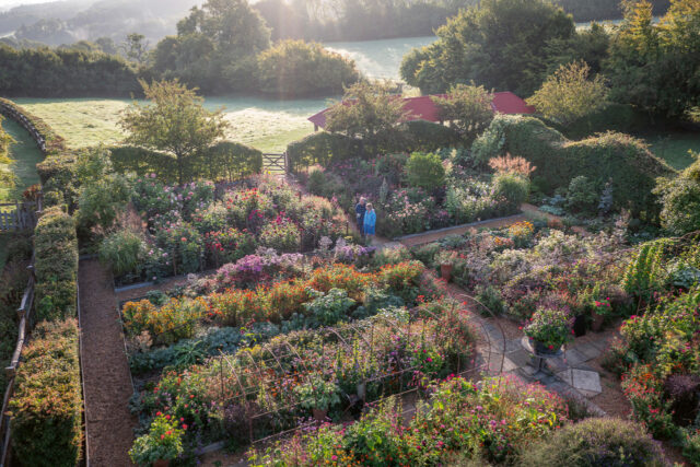 Sarah and Adam in the cutting garden at dawn