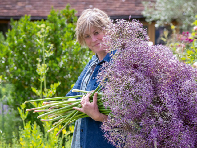 Sarah Raven with an armload of purple allium blooms.