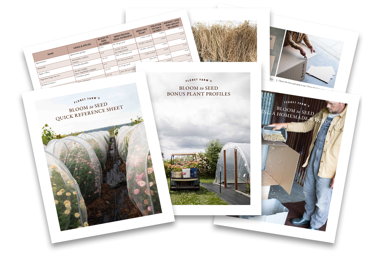 Floret Farm's Bloom to Seed book bonus materials.