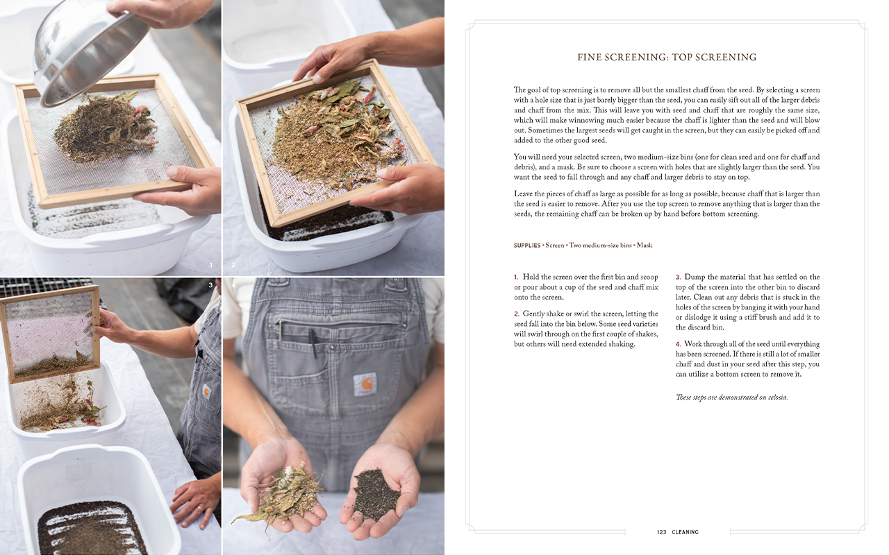 Two of the pages from inside Bloom to Seed.