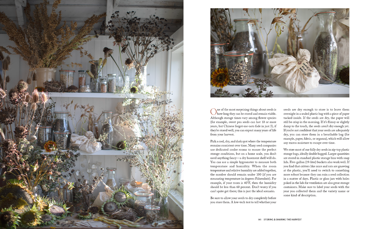 Two of the pages from inside Bloom to Seed.