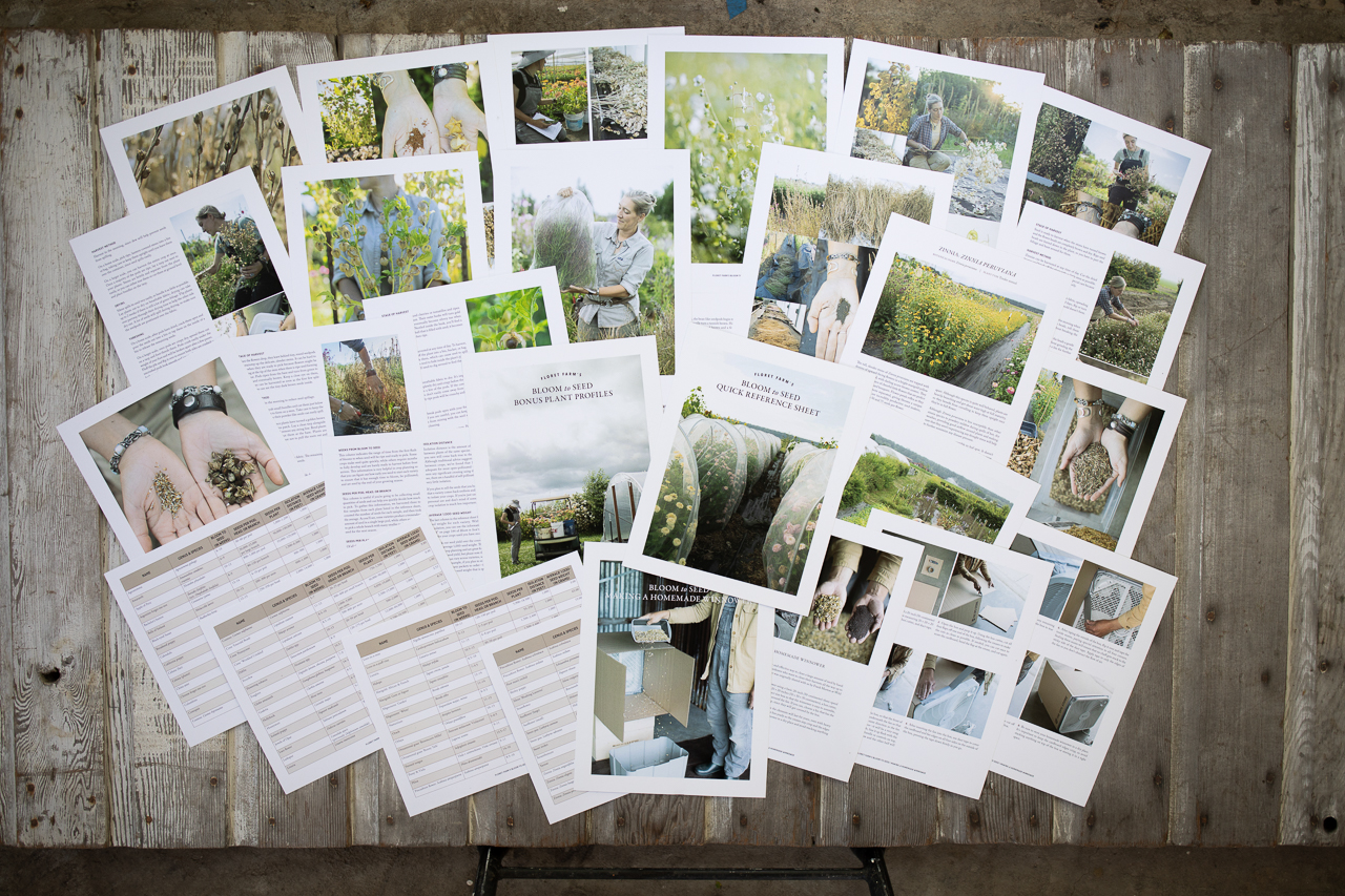 An overhead shop of the Bloom to Seed book bonus materials.