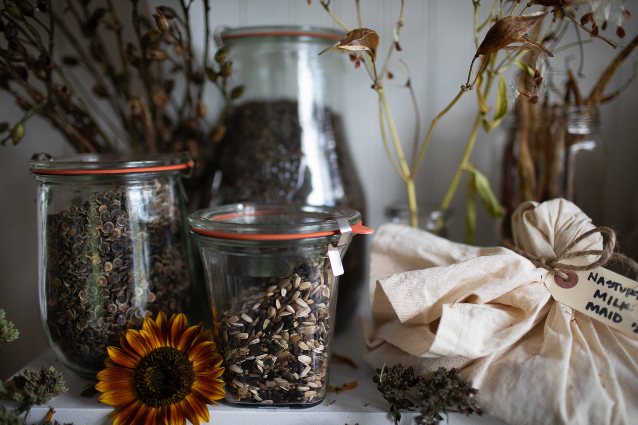 A close up of glass jars filled with flower seeds.